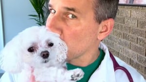 Illustration : "En refusant d’euthanasier une chienne malade, ce vétérinaire au grand cœur a pris la plus belle décision de sa vie (vidéo)"