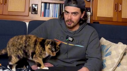 Illustration : Après un diagnostic à la sombre issue, cet homme décide de tout plaquer pour prendre la mer avec Phœnix, sa chatte (vidéo)