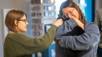 Illustration : Disparu pendant un an, ce chat a connu une vie d'errance avant de retrouver sa famille