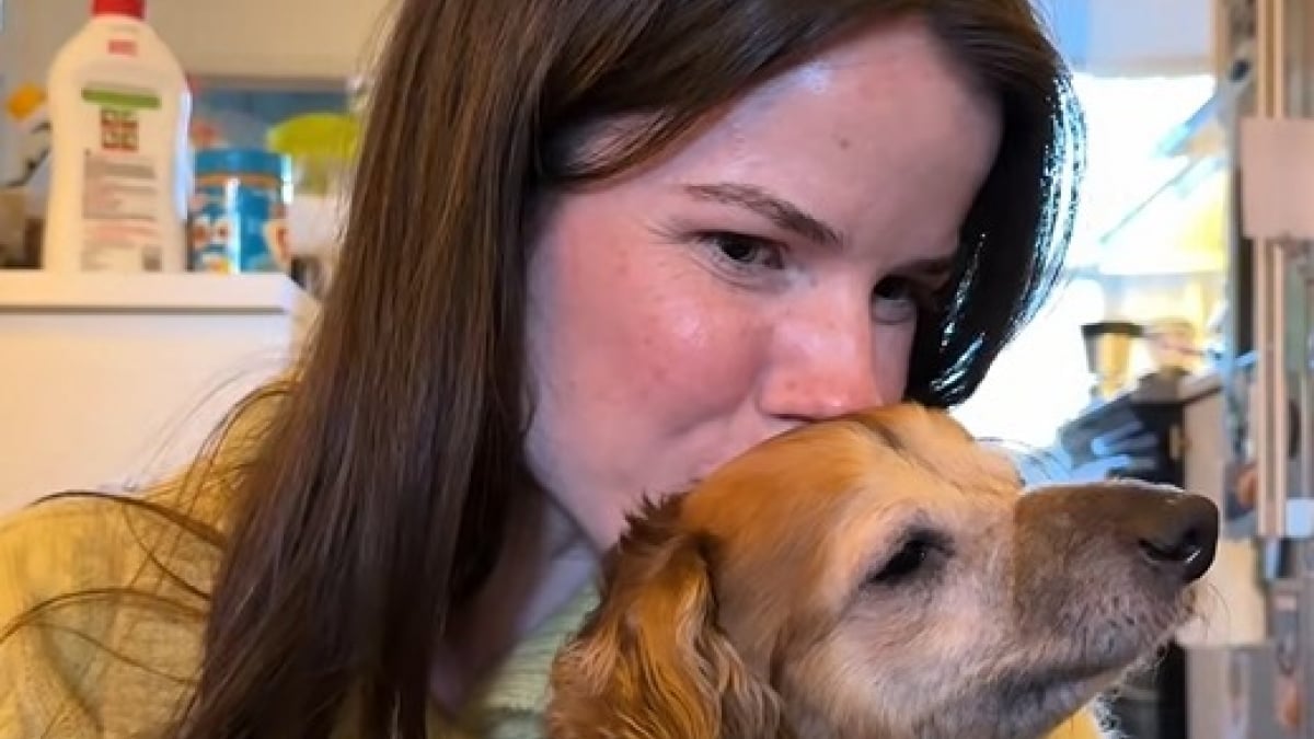 Illustration : "Le discours touchant d’une famille d’accueil qui ne souhaite pas adopter le chien qu’elle garde"