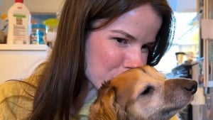 Illustration : "Le discours touchant d’une famille d’accueil qui ne souhaite pas adopter le chien qu’elle garde"