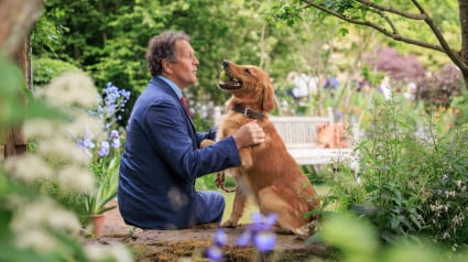 Illustration : Un horticulteur fait confiance à son chien pour la conception d’un jardin accueillant un grand événement 