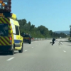 Illustration : Apr&egrave;s avoir pris tous les risques pour sauver un chien en danger sur une autoroute, un gendarme livre son t&eacute;moignage 10 jours apr&egrave;s (vid&eacute;o)