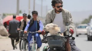 Illustration : "Parti à la découverte du monde en solo, cet homme fait la rencontre d’un chien blessé qu’il décide d’aider et d’adopter"