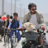Illustration : Parti à la découverte du monde en solo, cet homme fait la rencontre d’un chien blessé qu’il décide d’aider et d’adopter