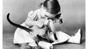 Illustration : 18 photos illustrant le lien unique entre les chats et les enfants