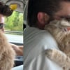 Illustration : Après avoir surmonté le deuil de son précédent chat, il retrouve l’amitié auprès d’un autre petit félin (vidéo)