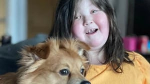 Illustration : "Lourdement handicapée, cette adolescente de 15 ans trouve le courage d’organiser un grand événement canin grâce à son chien"