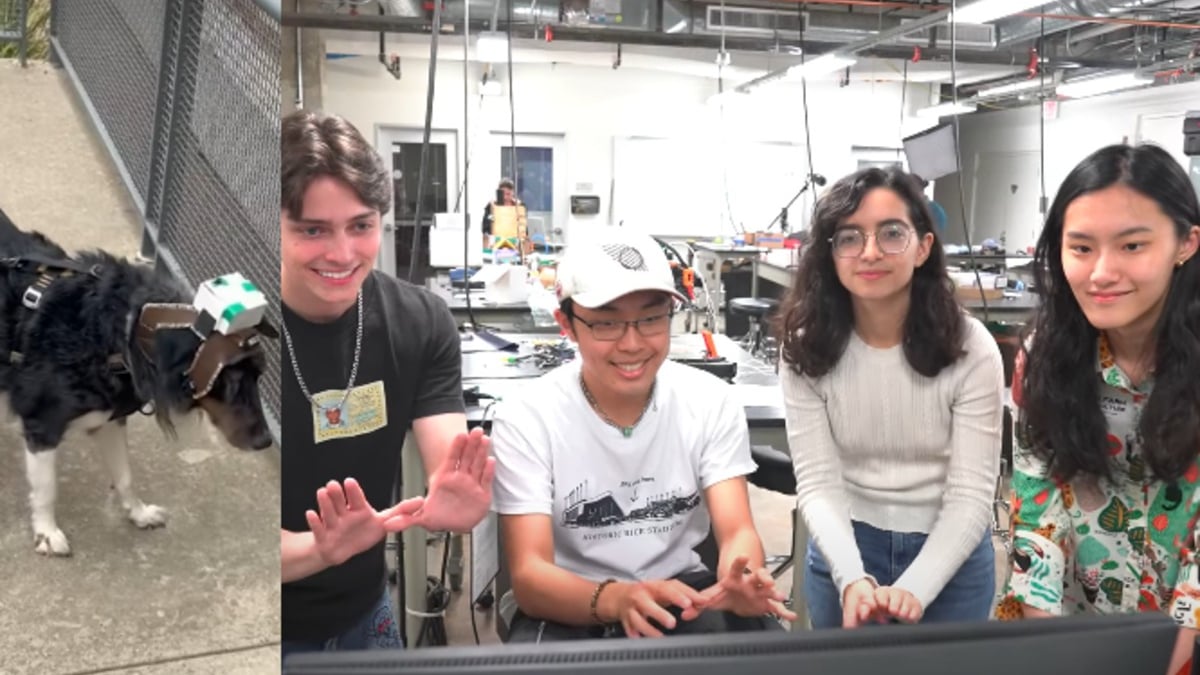 Illustration : "Un groupe d'étudiants conçoit un harnais hi-tech facilitant la vie des chiens aveugles"
