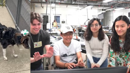 Illustration : Un groupe d'étudiants conçoit un harnais hi-tech facilitant la vie des chiens aveugles