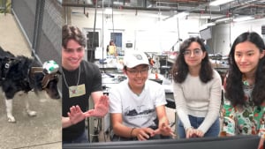 Illustration : "Un groupe d'étudiants conçoit un harnais hi-tech facilitant la vie des chiens aveugles"