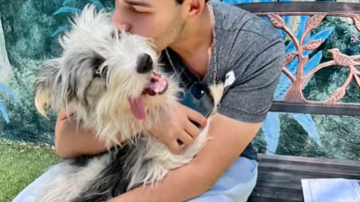 Illustration : "Alors qu’il devait seulement accompagner son amie choisir un chien en refuge, cet homme craque et a lui aussi un coup de foudre pour un toutou (vidéo)"