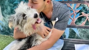 Illustration : "Alors qu’il devait seulement accompagner son amie choisir un chien en refuge, cet homme craque et a lui aussi un coup de foudre pour un toutou (vidéo)"