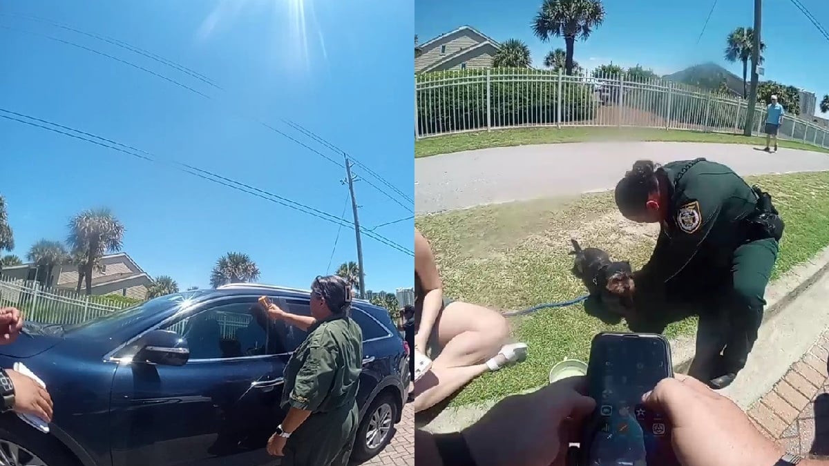 Illustration : "Il part à la plage et laisse son chien dans sa voiture où la température frôle les 50°C, la police intervient à temps pour le sauver"