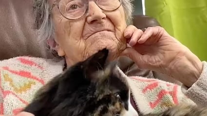 Illustration : « Je n’aime pas les chats, mais j’aime Abby » : cette chatte de thérapie apporte joie et douceur dans le quotidien des résidents de cette maison de retraite (vidéo)