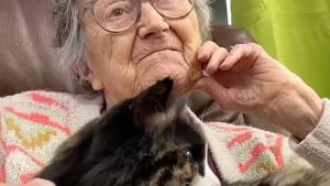 Illustration : "« Je n’aime pas les chats, mais j’aime Abby » : cette chatte de thérapie apporte joie et douceur dans le quotidien des résidents de cette maison de retraite (vidéo)"