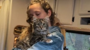 Illustration : "Disparue depuis 45 jours, sa chatte réapparaît soudain sur une caméra, la veille d’un jour très symbolique"