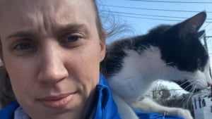 Illustration : "Son jogging interrompu par un chat errant très amical, elle le présente à son chien dont la méfiance s'effrite peu à peu (vidéo)"