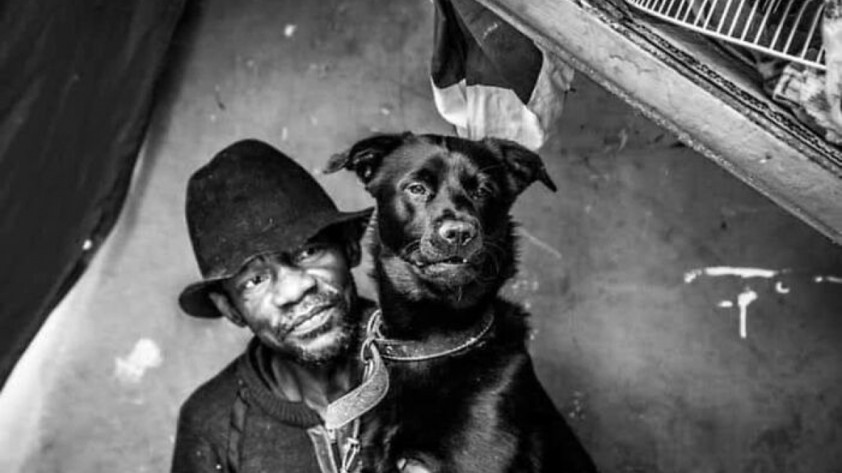 Illustration : "14 photos montrant le quotidien de chiens des rues et de leurs maîtres sans-abri"