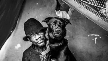 Illustration : 14 photos montrant le quotidien de chiens des rues et de leurs maîtres sans-abri