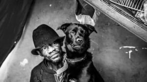 Illustration : "14 photos montrant le quotidien de chiens des rues et de leurs maîtres sans-abri"