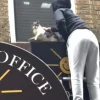 Illustration : Appelés au secours d’un chat en détresse, des bénévoles découvrent qu’ils sont en fait plus de 30 à avoir besoin d’aide (vidéo)