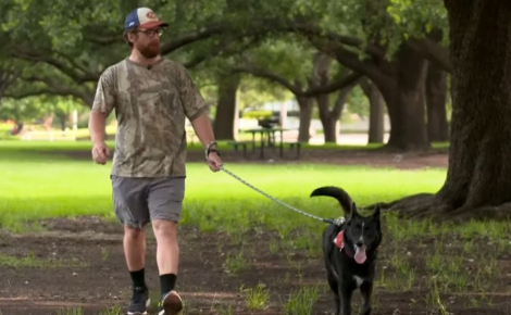 Un facteur apprend le décès du maître d'un chien avec lequel il s'est lié d'amitié et se rend au refuge bien avant son ouverture pour être sûr de l'adopter 
