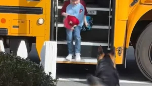 Illustration : "Quand le bus arrive, ce Berger Allemand est toujours, prêt à accueillir son petit humain, saluer les enfants et leur chauffeur (vidéo)"