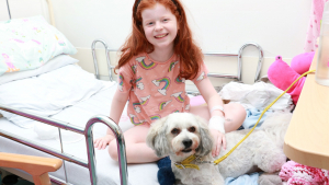 Illustration : "Hospitalisés loin de chez eux, ces enfants trouvent du réconfort auprès d’un chien au cœur immense"