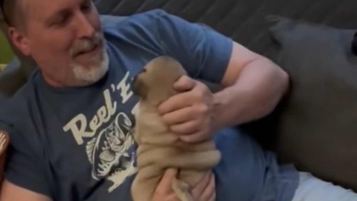 Illustration : "Une femme place son nouveau chien dans les bras de son père qui n’en voulait pas et son visage s’illumine (vidéo) "