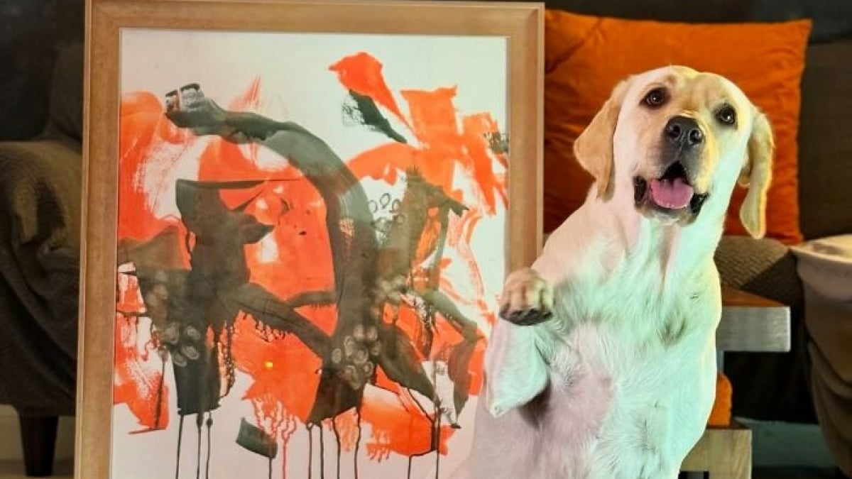 Illustration : "Doté d’un talent hors du commun, ce Labrador de sauvetage peint de magnifiques toiles au profit d’associations de protection des animaux (vidéo)"