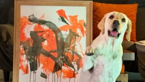 Illustration : "Doté d’un talent hors du commun, ce Labrador de sauvetage peint de magnifiques toiles au profit d’associations de protection des animaux (vidéo)"