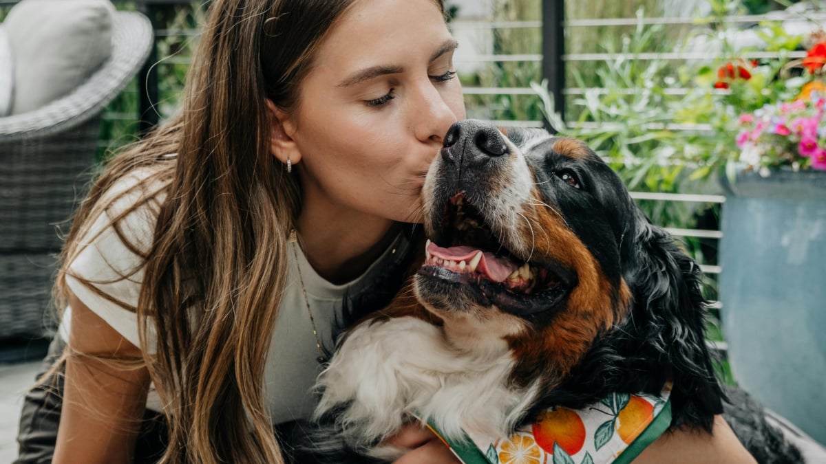 Illustration : "Elle adopte un chien abandonné, un an plus tard l’ancienne famille refait surface et veut le récupérer"