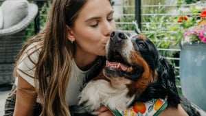Illustration : "Elle adopte un chien abandonné, un an plus tard l’ancienne famille refait surface et veut le récupérer"