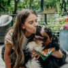 Illustration : Elle adopte un chien abandonné, un an plus tard l’ancienne famille refait surface et veut le récupérer