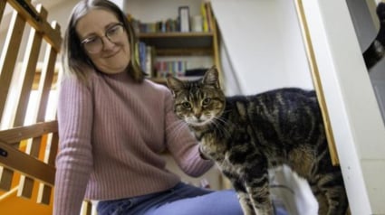 Illustration : Un chat détecte la grossesse de sa propriétaire, puis son cancer quelque temps plus tard 