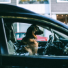 Illustration : Enfermé dans une voiture en plein pic de chaleur, ce chien était en train de convulser quand la police est venue le sauver