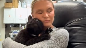 Illustration : "Ce chat noir au coeur brisé mais débordant d'affection connaît enfin le bonheur d'un vrai foyer (vidéo)"