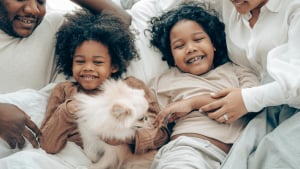 Illustration : 11 indices prouvant que le chien est un membre de la famille à part entière