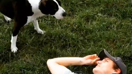Illustration : Pedro Pascal, l'acteur de The Last of Us, raconte comment sa chienne l’a aidé à tenir le coup quand il n’avait plus rien