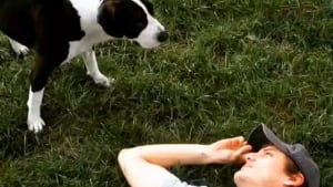Illustration : "Pedro Pascal, l'acteur de The Last of Us, raconte comment sa chienne l’a aidé à tenir le coup quand il n’avait plus rien"