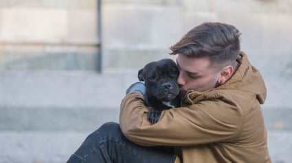 Illustration : Depuis son lancement il y a un an, le 3677 a permis d'aider plus de 20 000 animaux