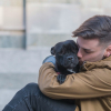 Illustration : Depuis son lancement il y a un an, le 3677 a permis d'aider plus de 20 000 animaux