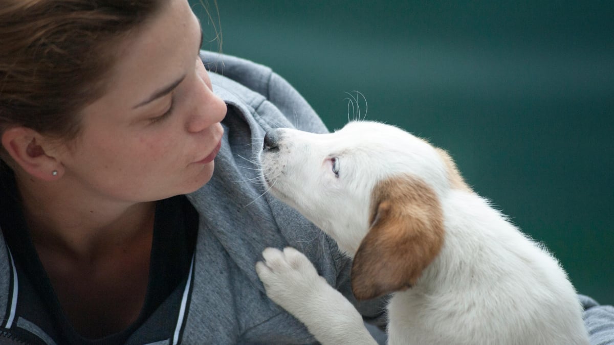 Illustration : "15 choses qui prouvent que nos amis les chiens nous ressemblent plus qu’on ne le pense"
