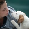 Illustration : 15 choses qui prouvent que nos amis les chiens nous ressemblent plus qu’on ne le pense