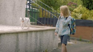 Illustration : "Tous les matins, cette chatte accompagne son jeune maître à l’école et apporte de la joie dans la cour de récréation (vidéo)"
