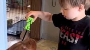 Illustration : "Son fils atteint d’autisme n’avait jamais caressé le chien de la famille, elle capture ce moment très émouvant en vidéo"