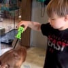 Illustration : Son fils atteint d’autisme n’avait jamais caressé le chien de la famille, elle capture ce moment très émouvant en vidéo