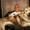 Illustration : 17 photos de chiens qui n’ont aucune conscience de leur grand gabarit