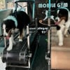 Illustration : Elle transforme une camionnette en salle de sport pour chiens et leur redonne le goût de bouger